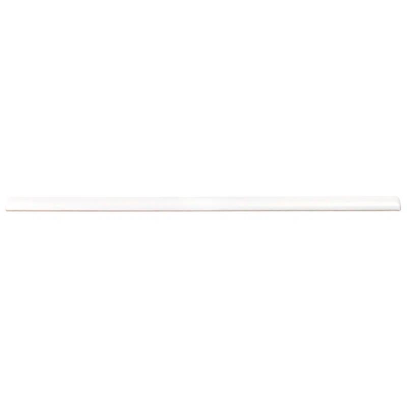 Bond Tile 0.6'' L x 12'' W Ceramic Bullnose Tile Trim