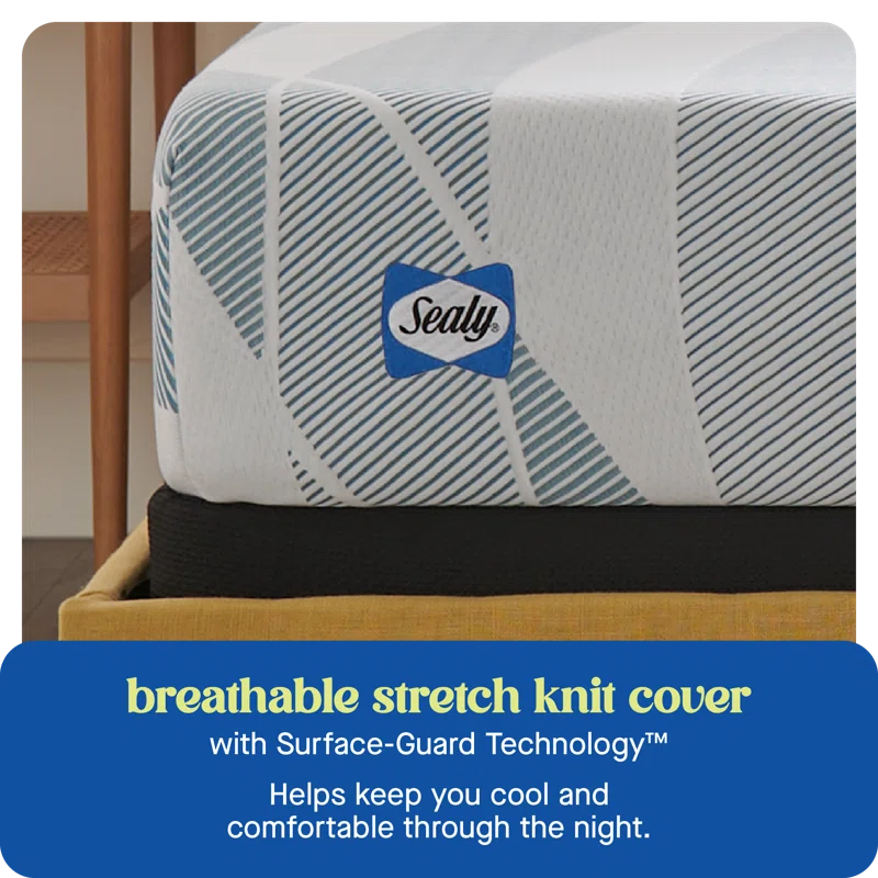 Sealy Sealy Dreamlife 10” Medium-Firm Hybrid Mattress-in-a-Box