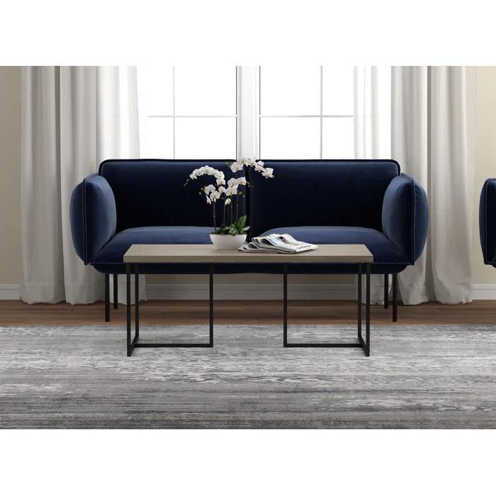 Willa Arlo™ Interiors Metz Coffee Table