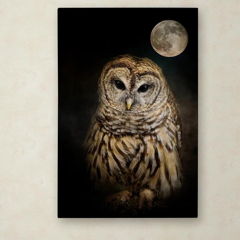 Trademark Fine Art Jai Johnson " Barred Owl And The Moon " by Jai Johnson