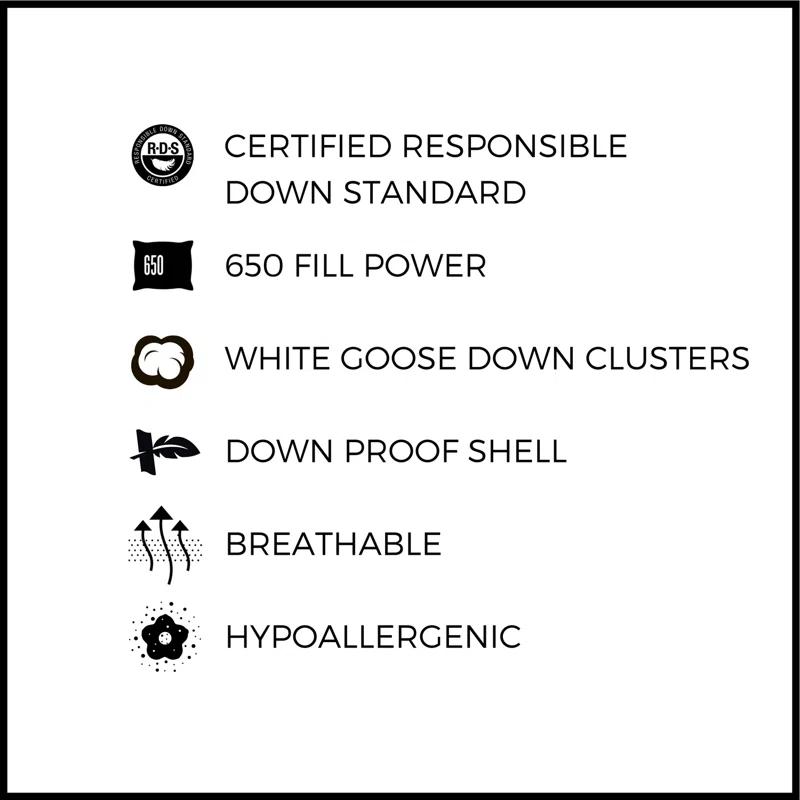 Firm Pillow (Set of 2)