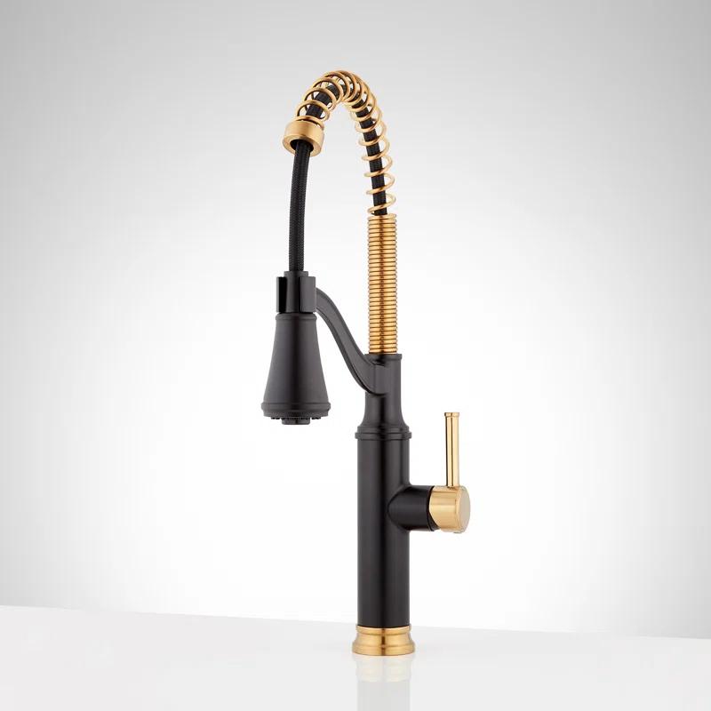 Signature Hardware SHXCCB107MBBG Pull Down Single Handle Kitchen Faucet with Accessories