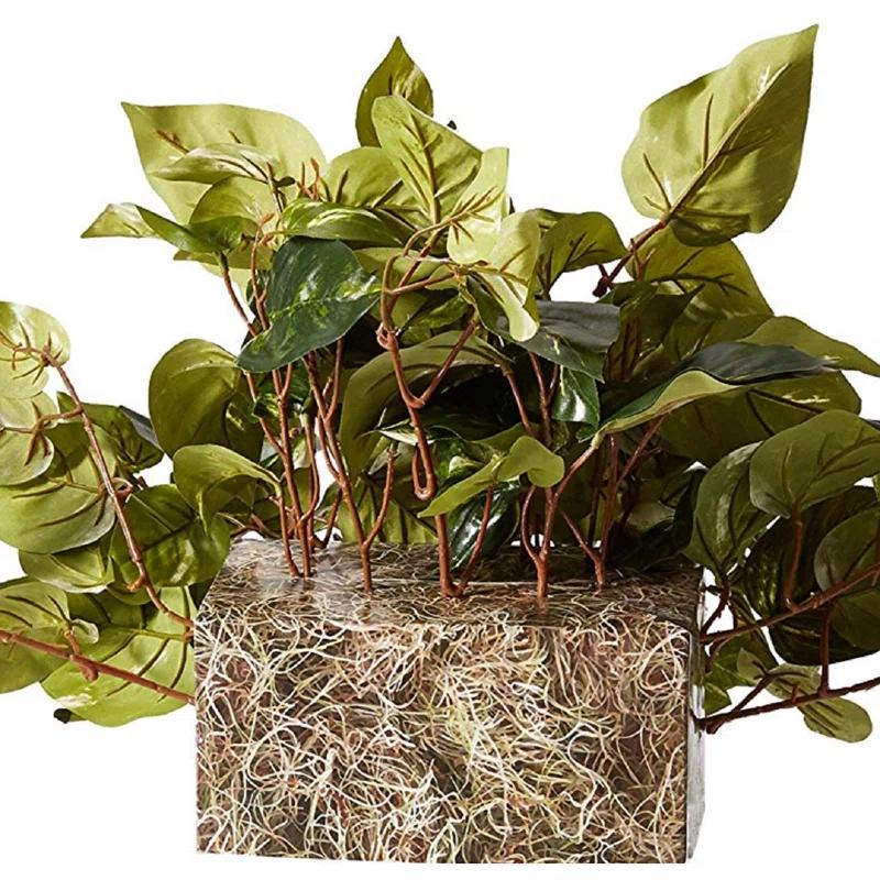 Primrue Pothos Ledge Plant (Set on Foam) Silk Plant