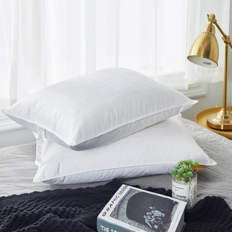 Alwyn Home Down Blend Plush Pillow (Set of 2)