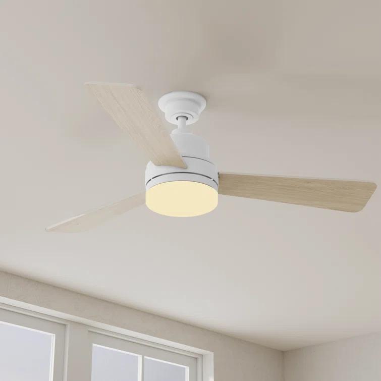 Hokku Designs Bailey-Rae 52'' Ceiling Fan with LED Lights