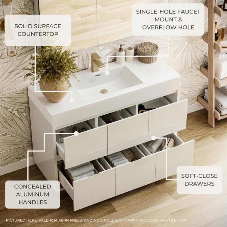 Fresca Valencia 24" Freestanding Single Sink Bathroom Vanity Set w/ Medicine Cabinet (Faucet Not Included)