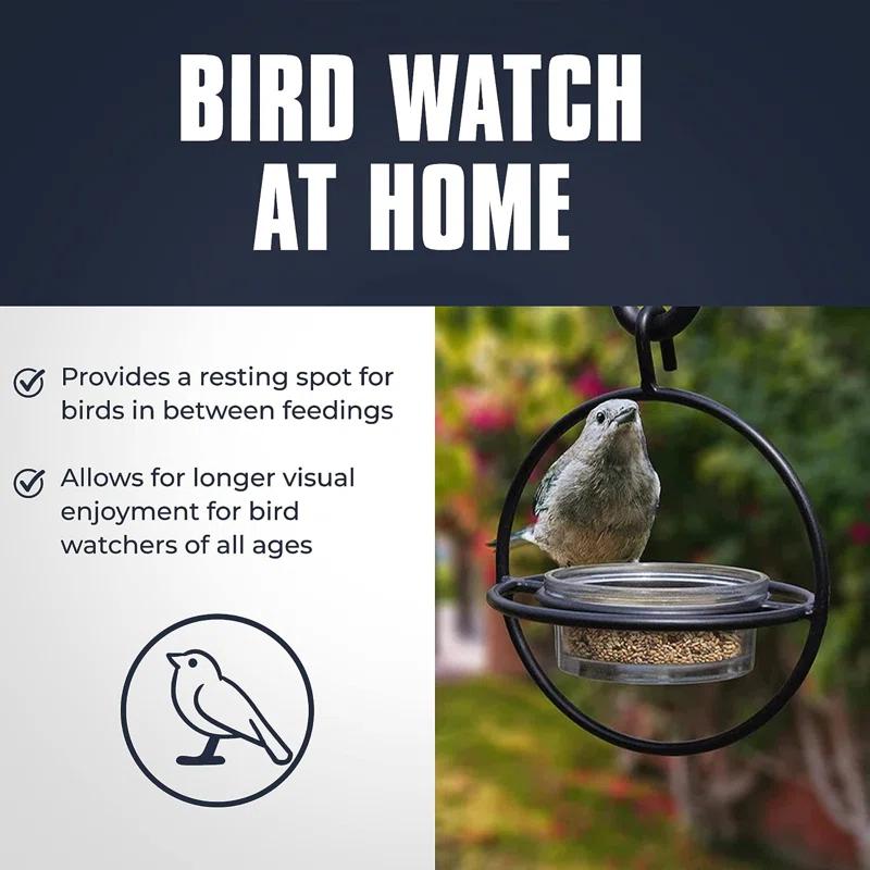 Monarch Abode Hanging Zazu Bird Feeder with Clear Glass Bowl, Perch, Outdoor Decor for Garden Backyard Patio