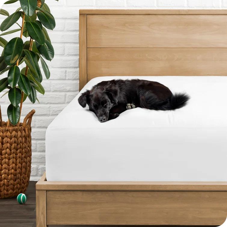 Bare Home Premium Ultra Soft Waterproof Fitted Mattress Protector