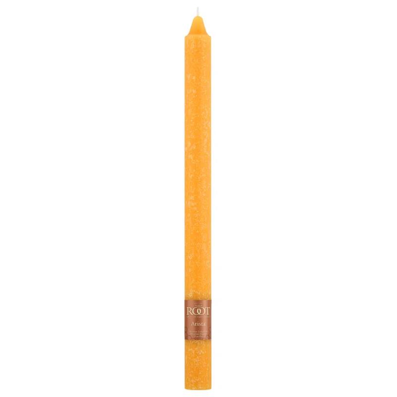 Root Candles Timberline Arista Dinner Unscented Taper Candle (Set of 12)