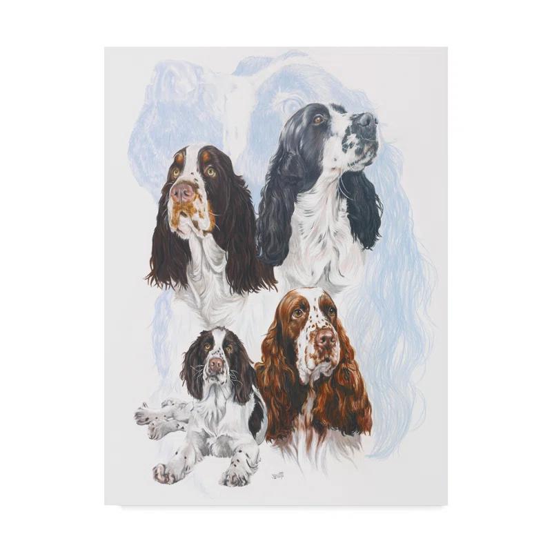 Trademark Fine Art Barbara Keith " Springer Spaniel " by Barbara Keith