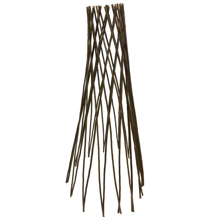 MGP 72'' H x 20'' W Wood Obelisk Trellis
