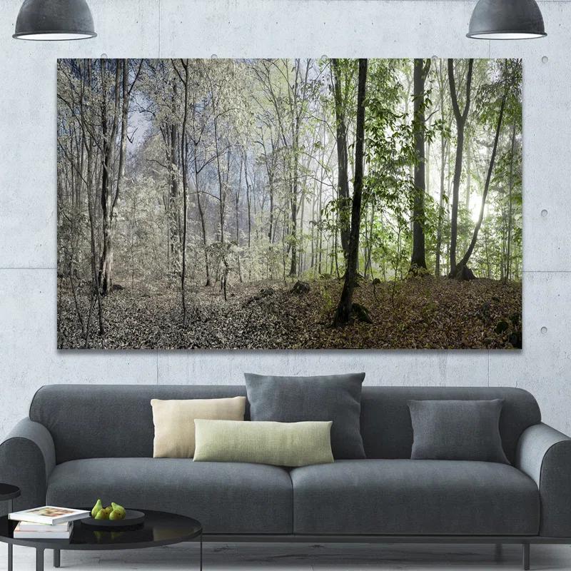" Green Morning In Forest Panorama "