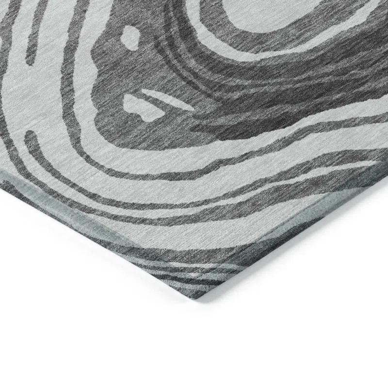 Machine Washable Indoor/Outdoor Chayden ACN1051 1'8" x 2'6" Rug