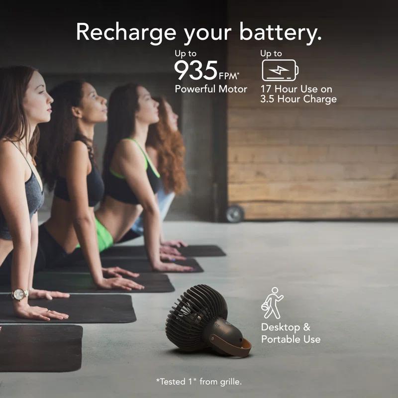 Vornado Vornado Fly Move Rechargeable Portable Fan