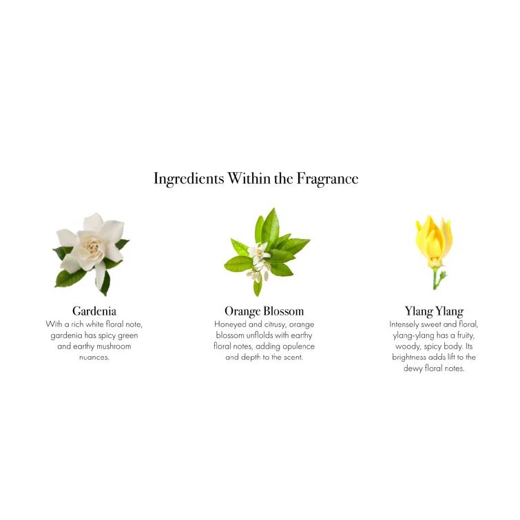 LAFCO New York Fresh Cut Gardenia 3-Wick Candle | Wayfair
