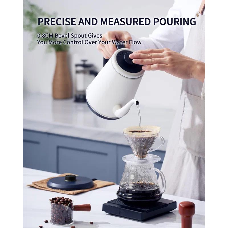 Basowin Gooseneck Electric Kettle(1.0L),1000W Electric Tea Kettle Of 304 Stainless Steel,Auto Shut Off,Coffee Kettle For Pour Over And Tea