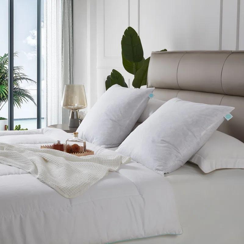 Martha Stewart 20X20'' Decorative Feather Pillow Insert (2PK) - Medium Firm (Set of 2)