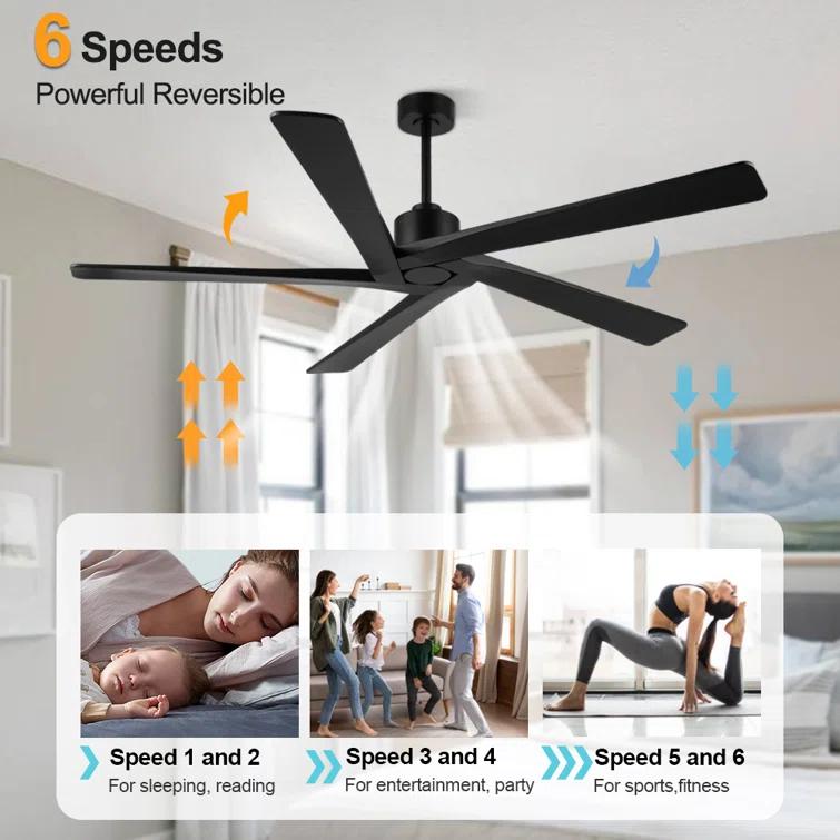 Wade Logan® 5-ABS Blades Indoor Ceiling Fan without Light
