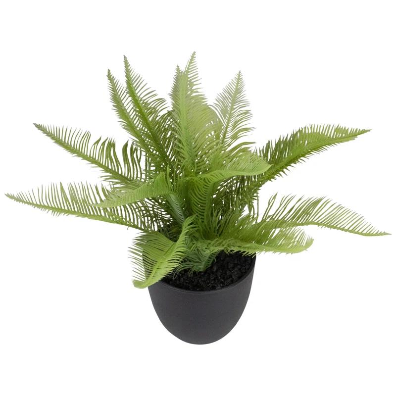 Northlight Seasonal 12'' Faux Pinus Plant in Pot