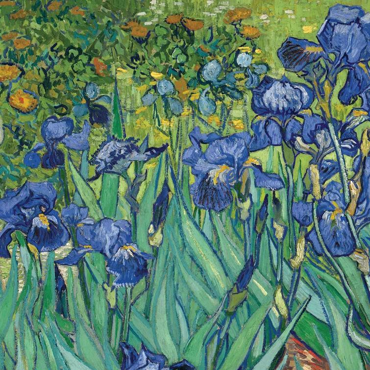 Vault W Artwork " Irises, 1889 " by Vincent Van Gogh