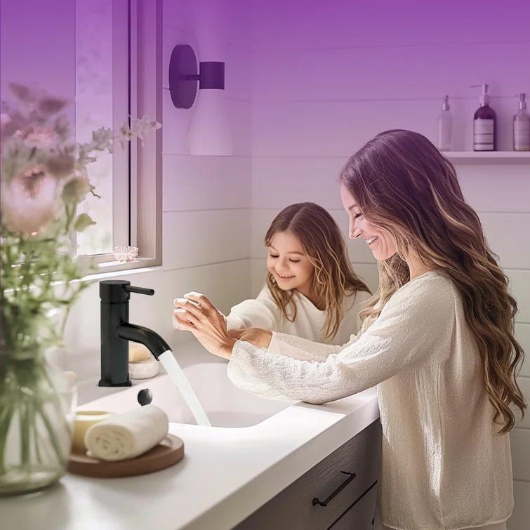 VIBRANTBATH Single hole 1-handle WaterSense Low-arc Commercial/Residential Handle Bathroom Sink Faucet with Drain A-99052-B-2