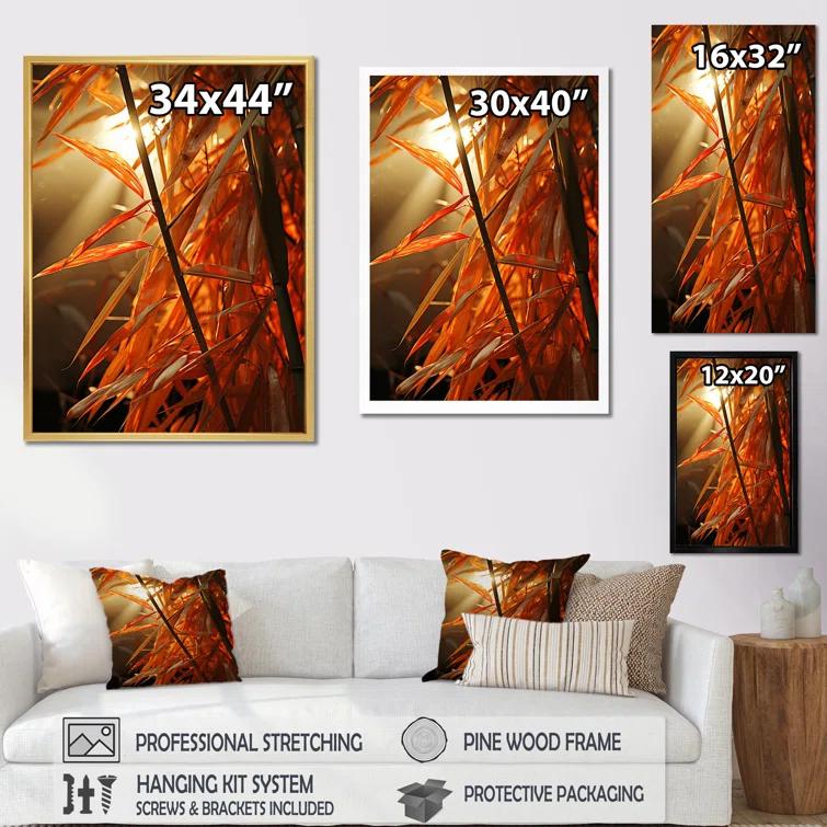 Design Art " Bamboo Sunset Photography II "