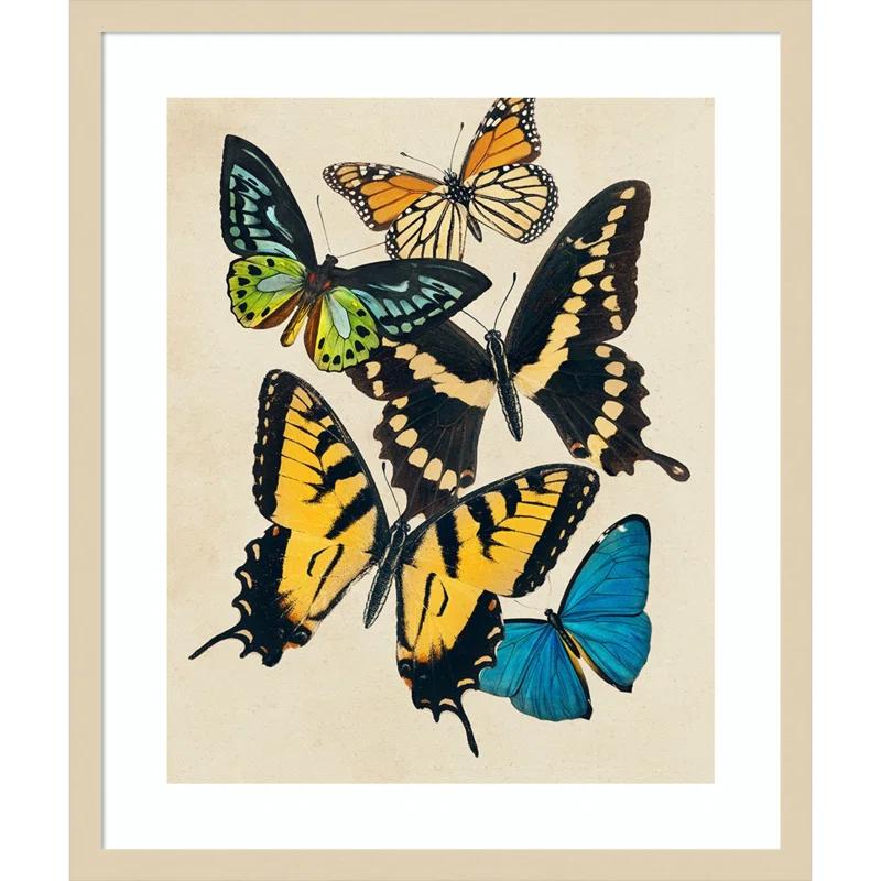 Amanti Art Collaged Butterflies II by Victoria Barnes Wood Framed Wall Art Print