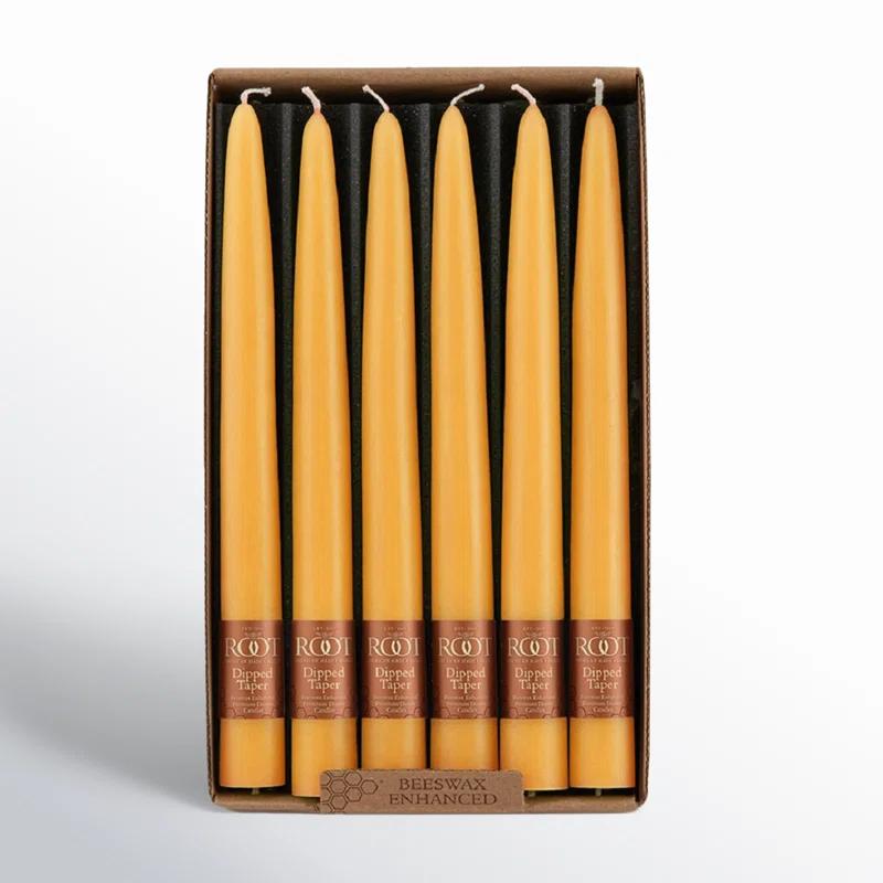 12 Piece Unscented Taper Candle Set