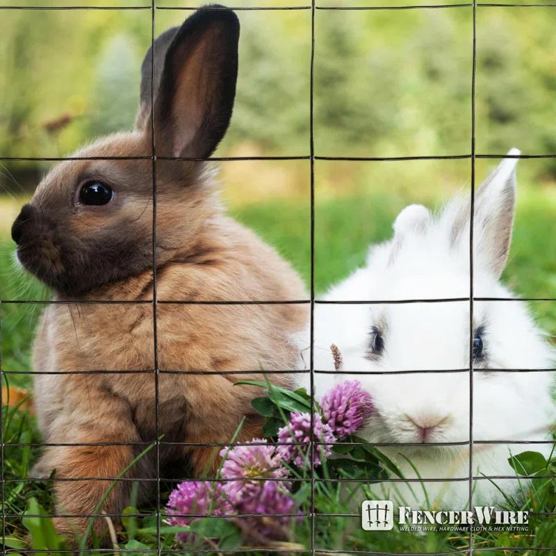 Fencer Wire Fencer Wire Vinyl Coated 16 Gauge Rabbit Guard Fence, Poultry Outdoor Fencing Barrier Wire Roll