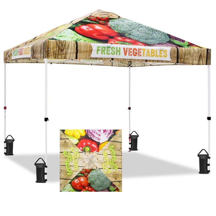 EAGLE PEAK Pop Up Canopies 10 Ft. W x 10 FT. D Metal Party Tent Canopy