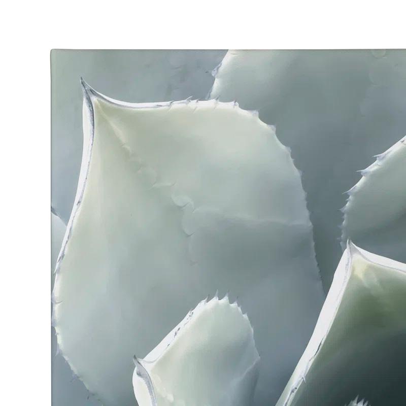 Union Rustic " Soft Botanical Succulents " by The Creative Bunch Studio 2 - Pieces