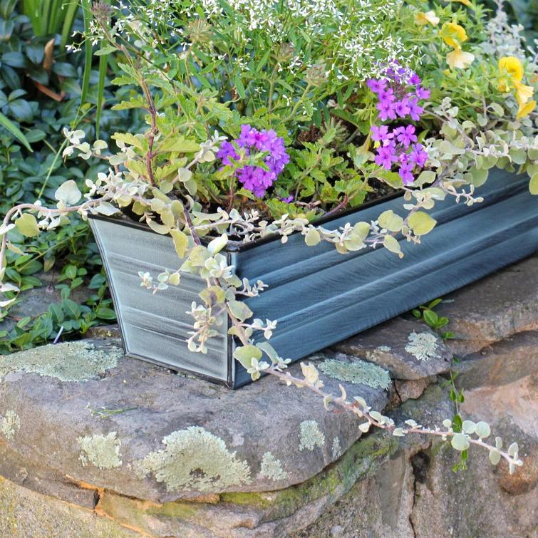 Winston Porter Dynamism Metal Window Box Planter