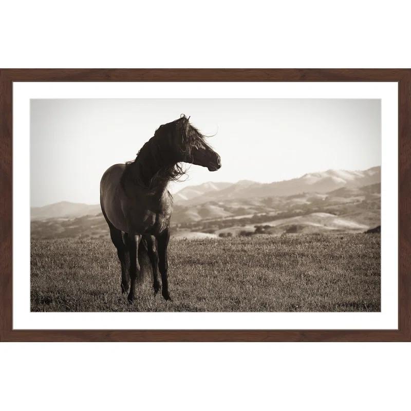 Marmont Hill "Horse in Wind" Framed Print