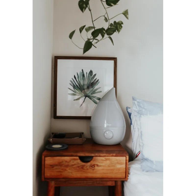 Crane USA Drop Cool-Mist Humidifier, 1 Gal.