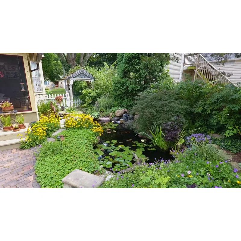 Aquascape Pump