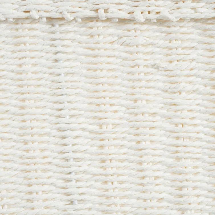 Household Essentials Paper Rope Wicker Box & Reviews | Wayfair