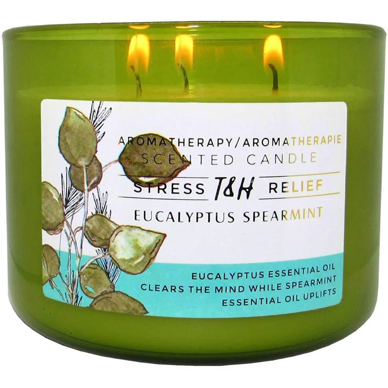 T&H Wholesalers Eucalyptus Spearmint Scented Soy Candle 3 Wick Aromatherapy Candle for Women and Men