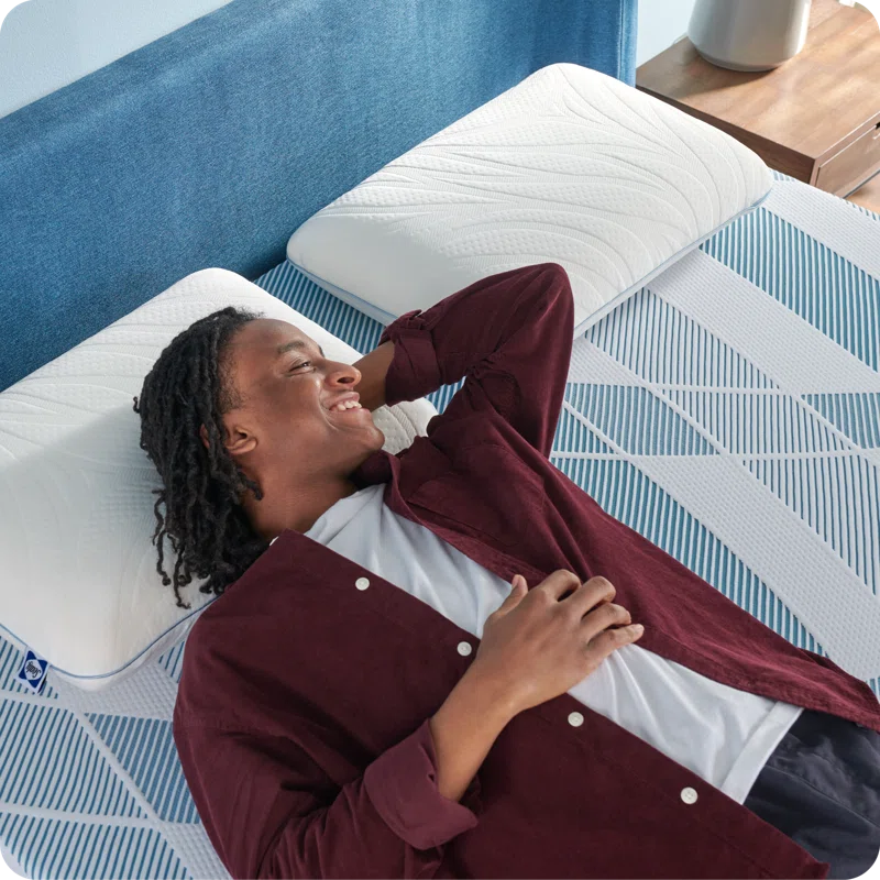 Sealy Sealy Dreamlife 12” Plush Foam Mattress-in-a-Box
