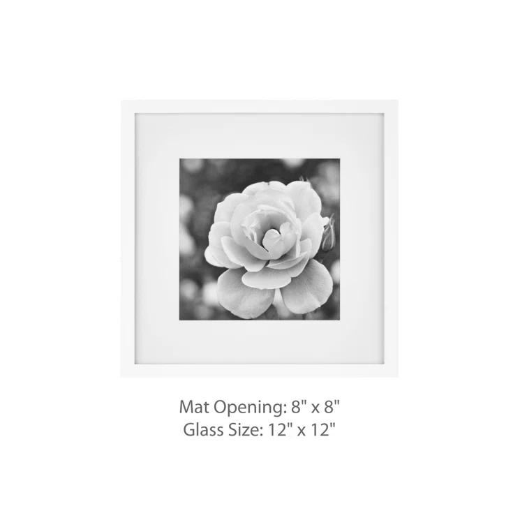 Gallery Perfect Gallery Perfect 12" x 12" Hanging Wall Wood Matted Picture Frame Kit - 9 Piece Set