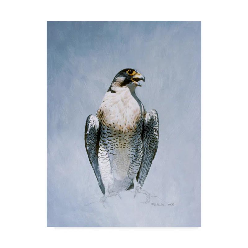 Trademark Fine Art Ron Parker " Peregrine Falcon " by Ron Parker