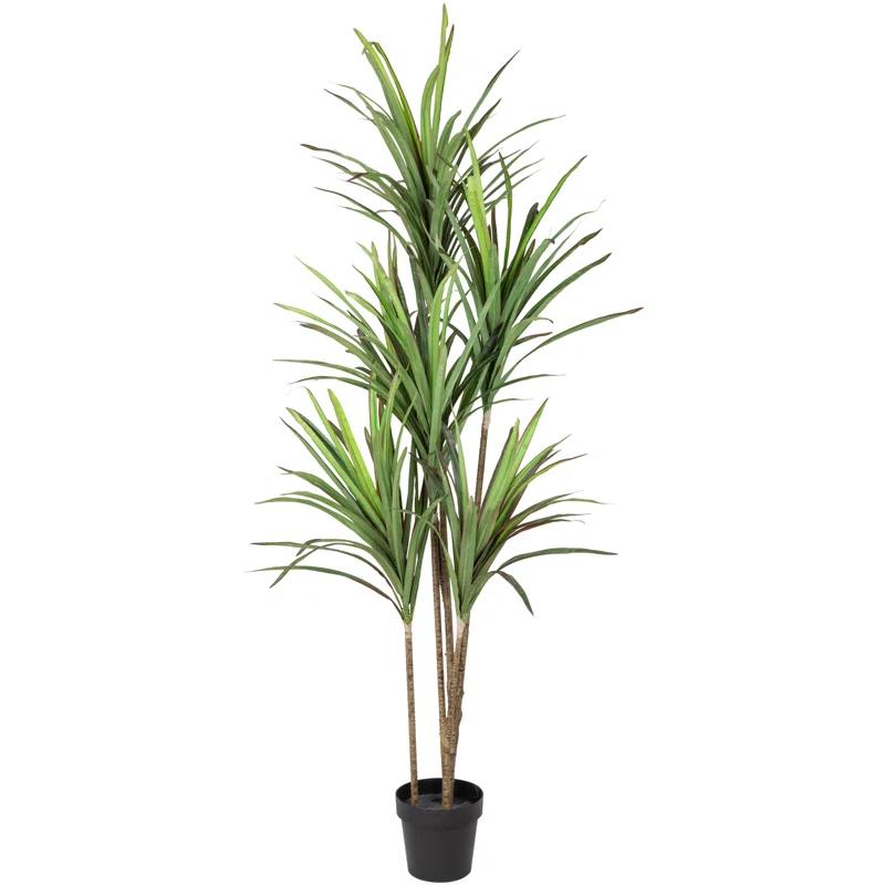 Northlight Seasonal 5.5' Green Artificial Potted Dracaena Marginata Plant
