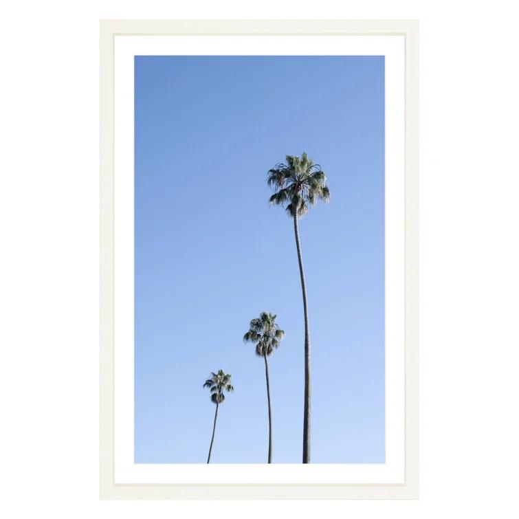 Triple Palm Photographic Print in White Wood Frame