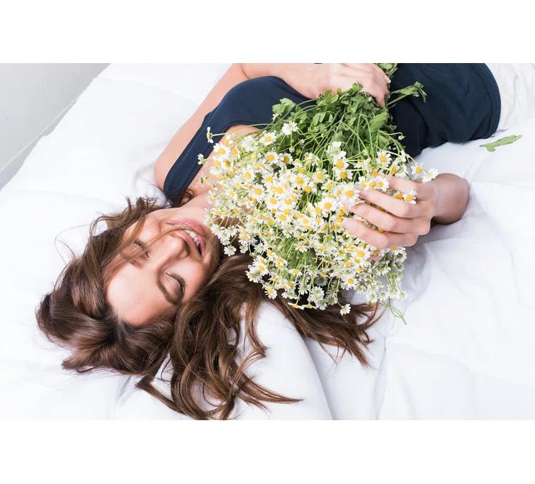 Hospitology The Original Sleep Defense System Zippered Waterproof Bedbug Proof Dust Mite Proof Mattress Encasement