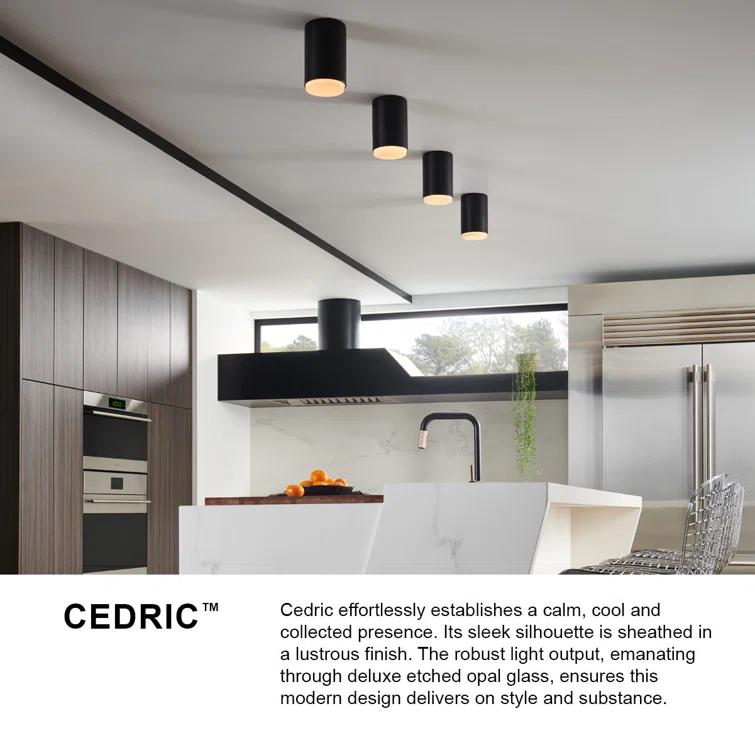 Fitzgerald Single Light Steel Dimmable Flush Mounted Sconce