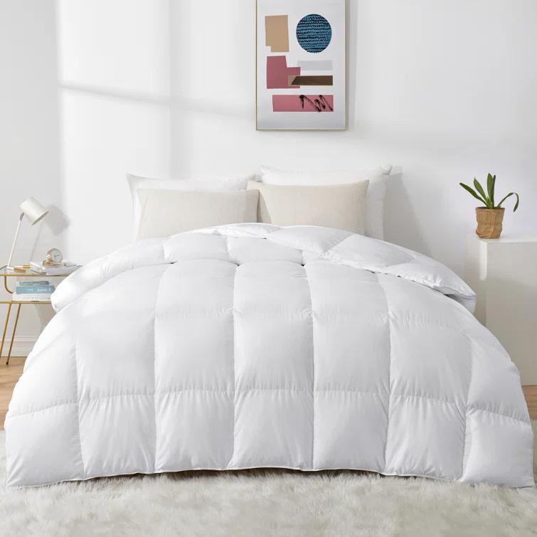 Alwyn Home 600in³/oz Fill Power Winter Goose Down Comforter