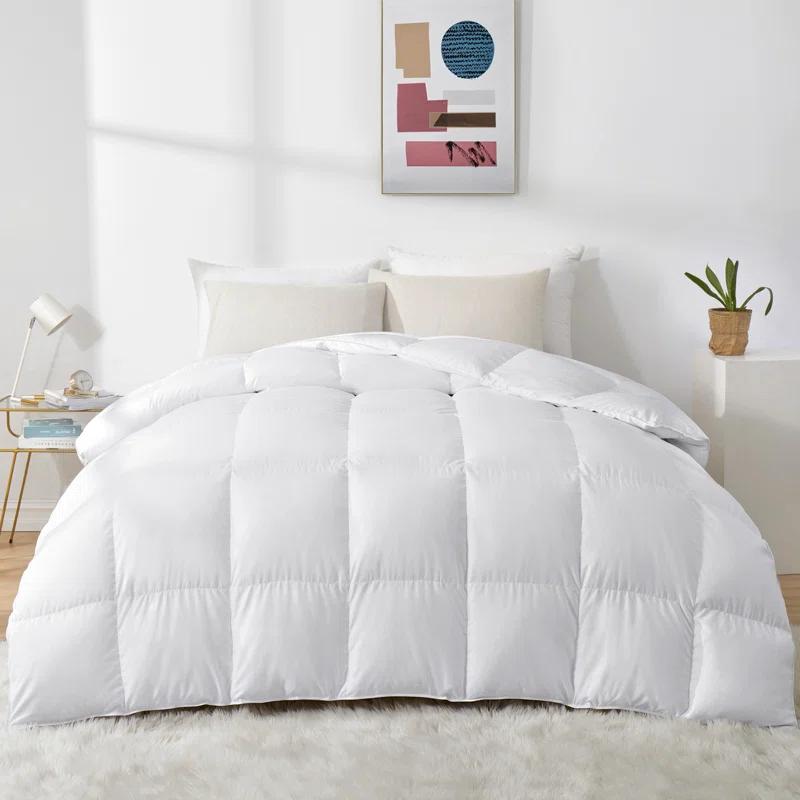 Alwyn Home 600in³/oz Fill Power Winter Goose Down Comforter
