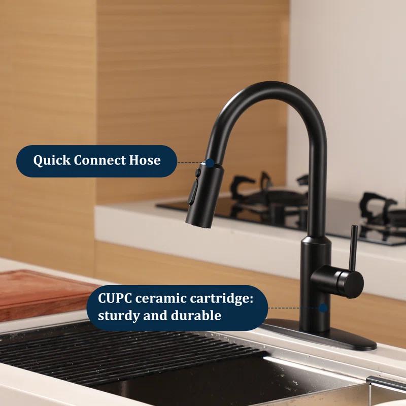 Boyel Living BL-APS244-MB Boyel Living Kitchen Faucet