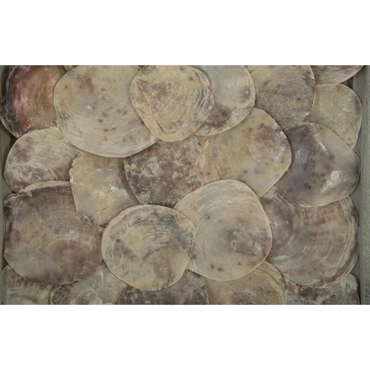 Phillips Collection Dimensional Shell Wall Décor