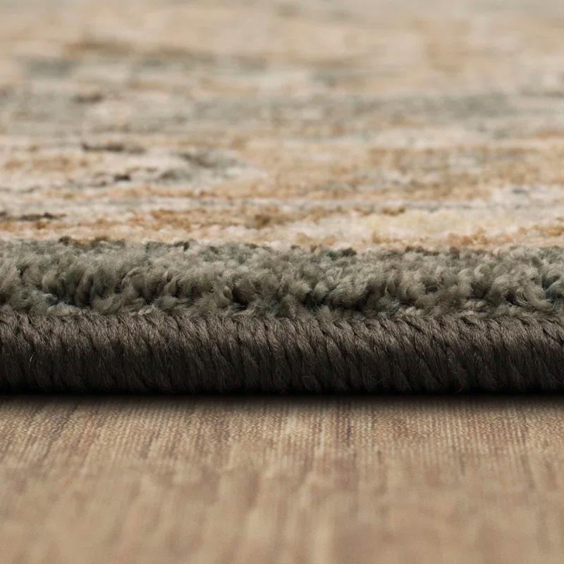 Karastan Euphoria Gray Traditional Ornamental Area Rug