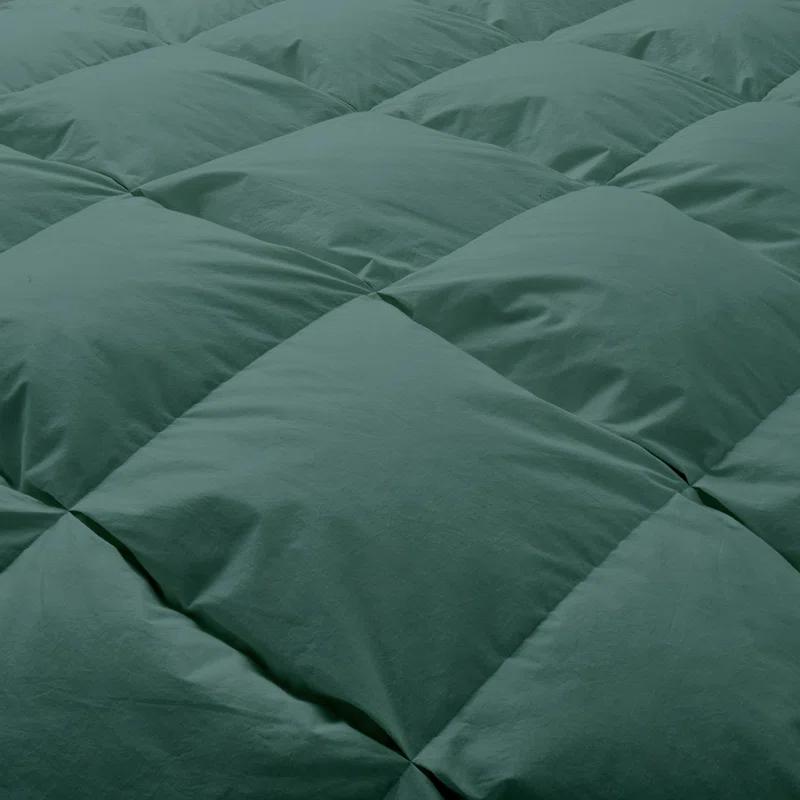 Alwyn Home 600 Fill Power All Seasons Down Comforter